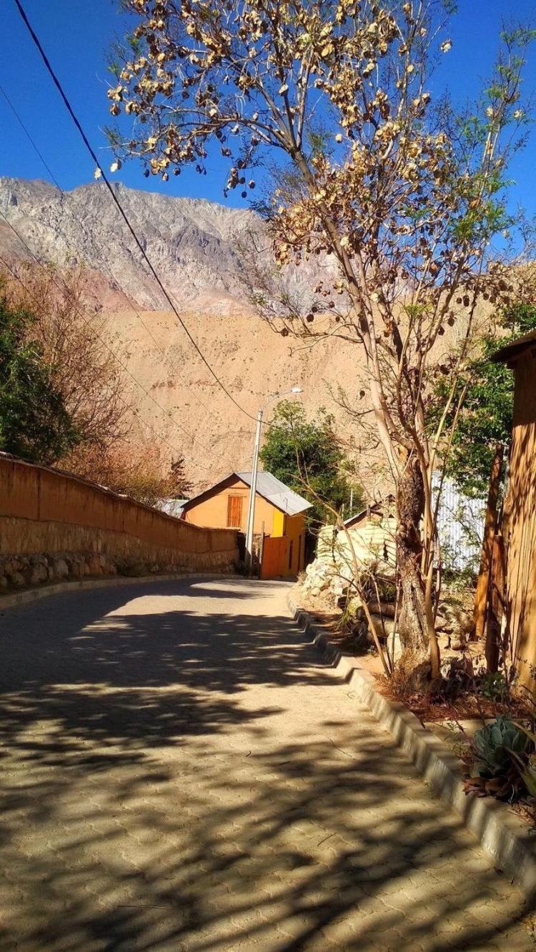 Bed and Breakfast Casa Gabriela, Monte Grande ,Valle De Elqui Экстерьер фото