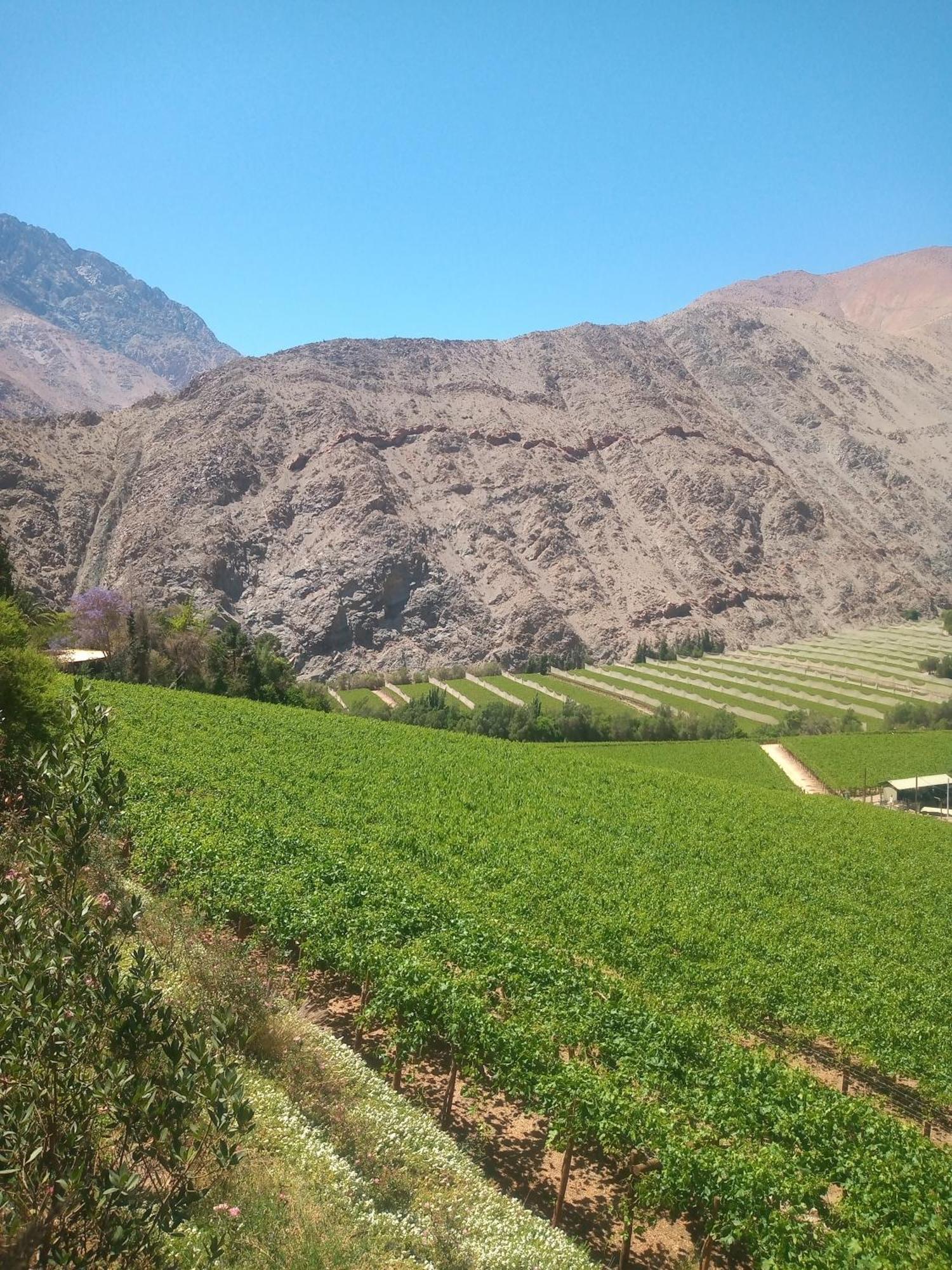 Bed and Breakfast Casa Gabriela, Monte Grande ,Valle De Elqui Экстерьер фото